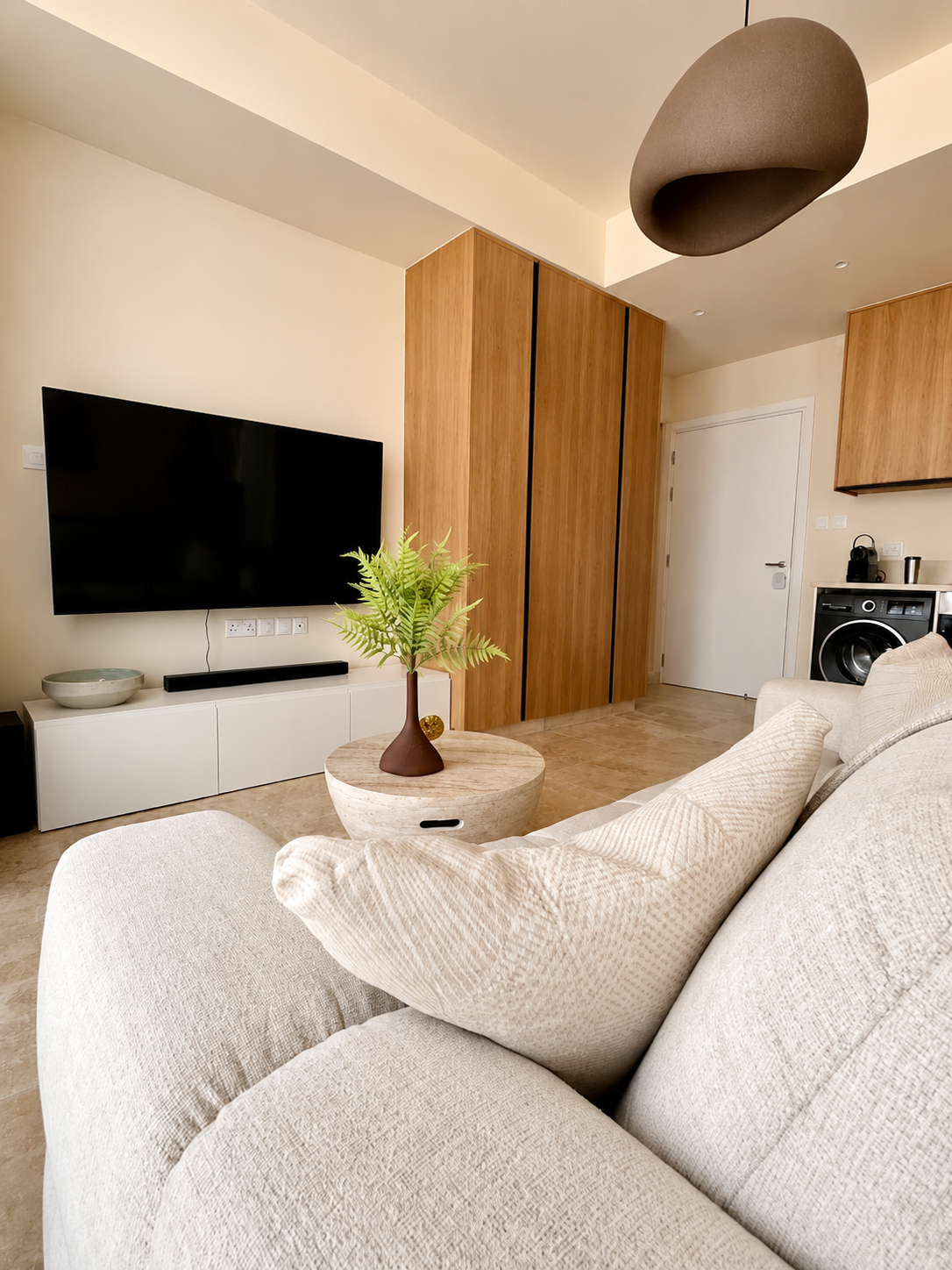 Sofa bed, Smart TV and built-in storage at Avalon Gardens B101